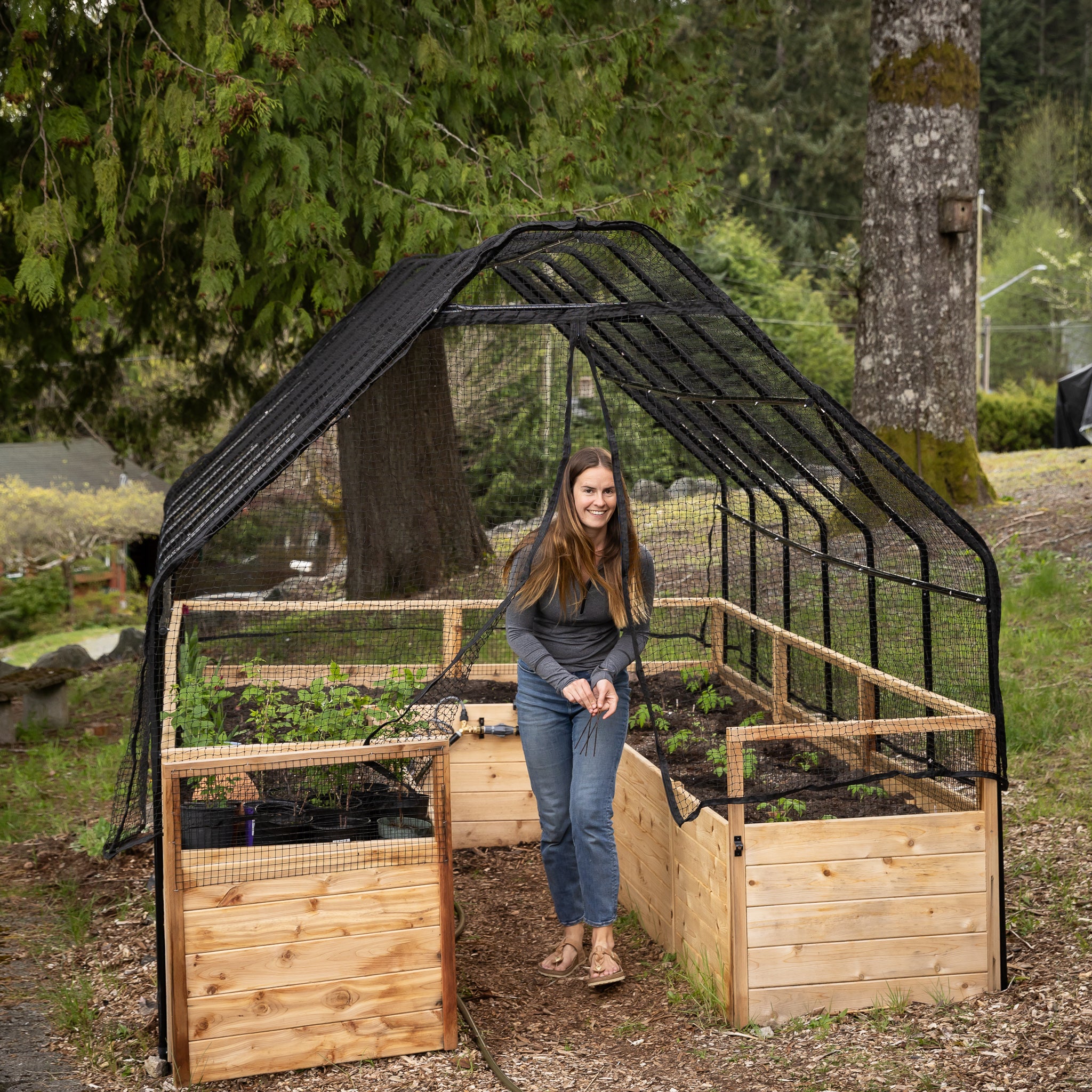 Cedar Complete Raised Garden Bed Kit with Bird Netting Cover 8' x 12'