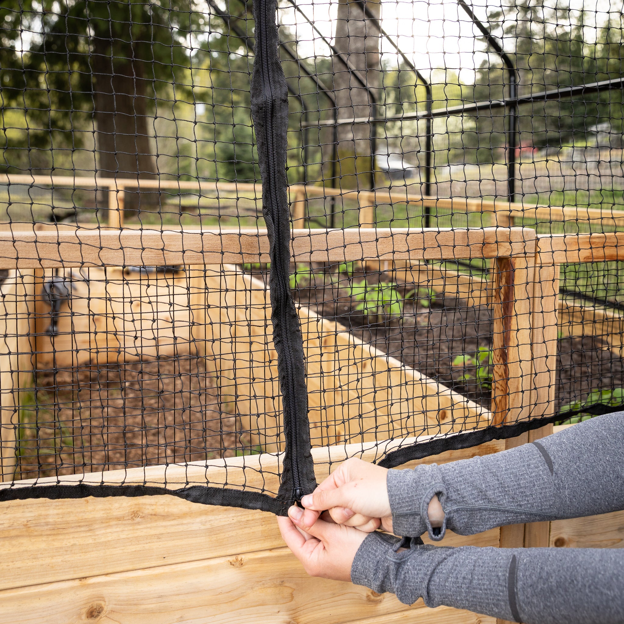 Cedar Complete Raised Garden Bed Kit with Bird Netting Cover 8' x 16'