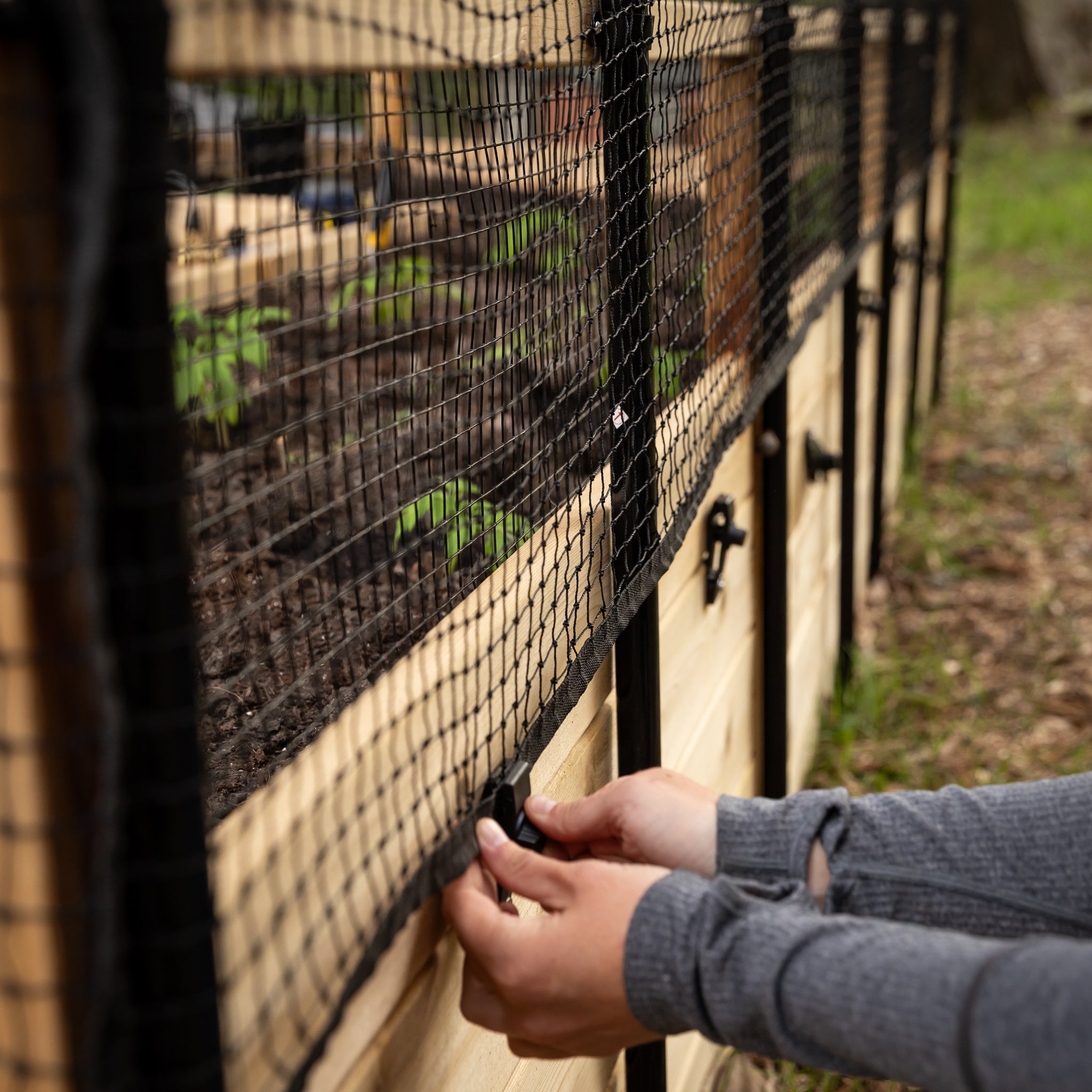 Cedar Complete Raised Garden Bed Kit with Bird Netting Cover 8' x 8'