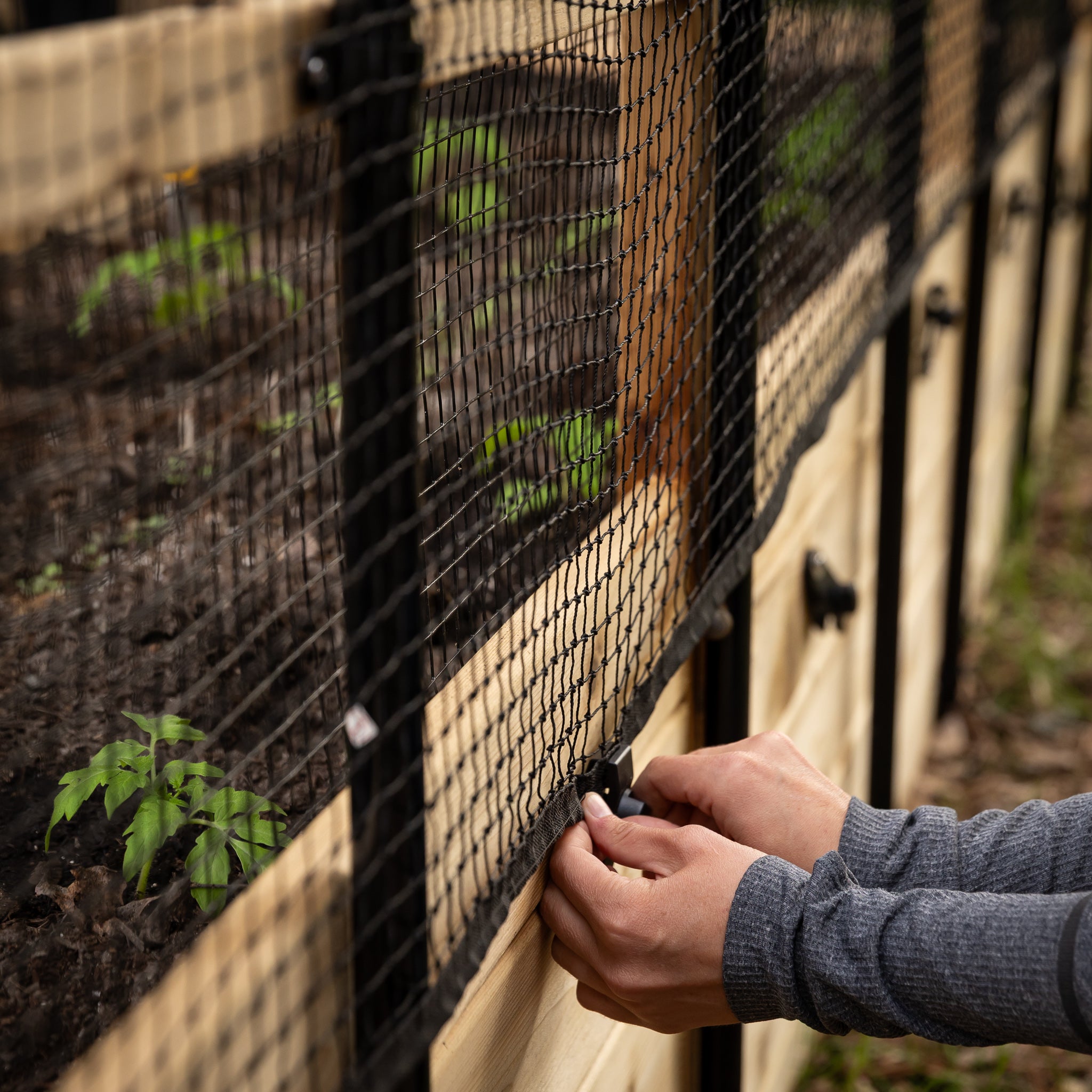 Cedar Complete Raised Garden Bed Kit with Bird Netting Cover 8' x 16'