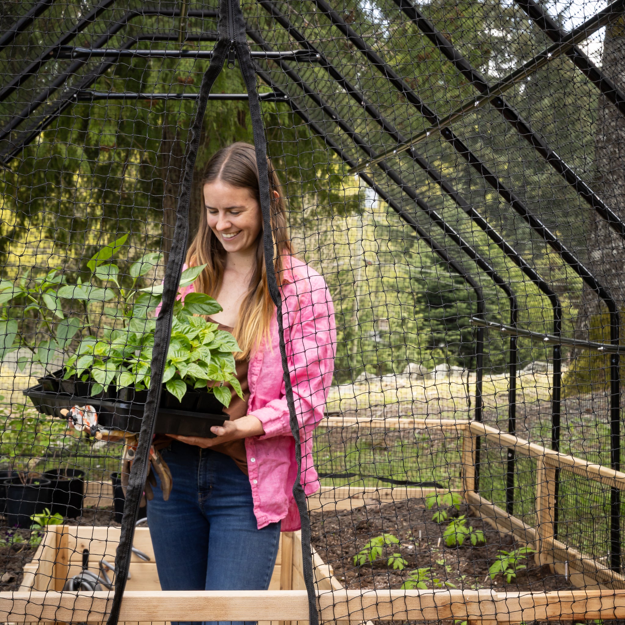 Cedar Complete Raised Garden Bed Kit with Bird Netting Cover 8' x 12'