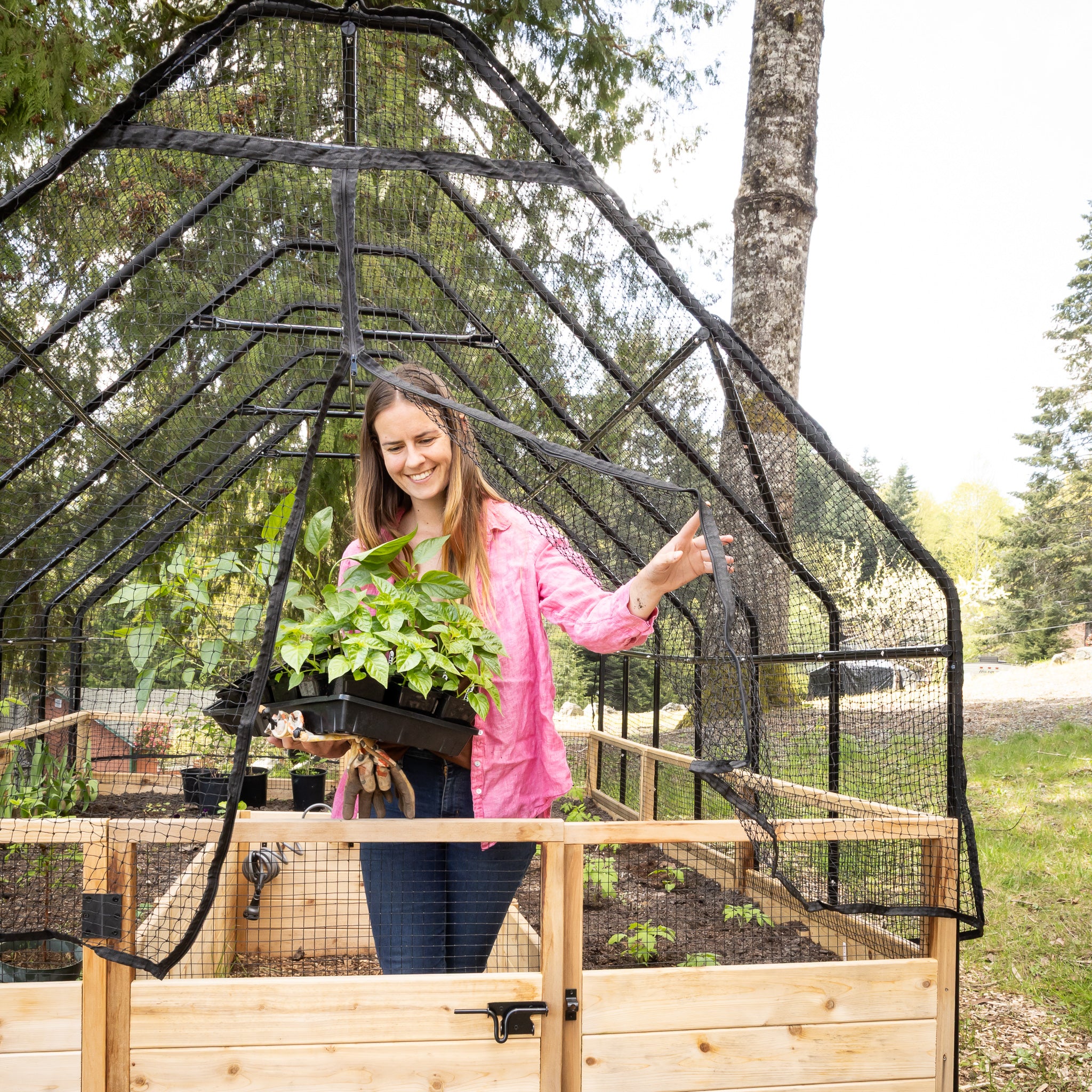 Cedar Complete Raised Garden Bed Kit with Bird Netting Cover 8' x 12'