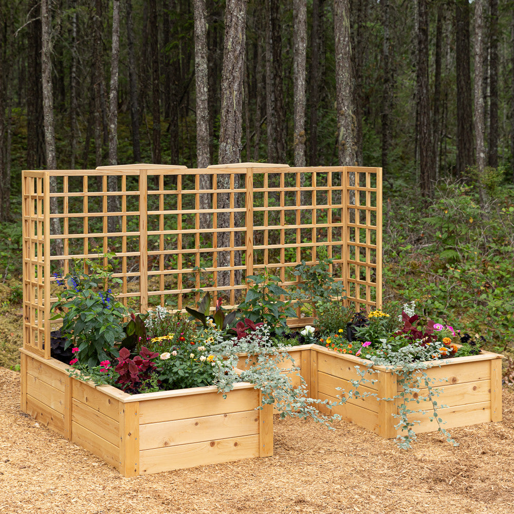 Natural Cedar 7.5' U-Shaped Raised Bed with Trellis