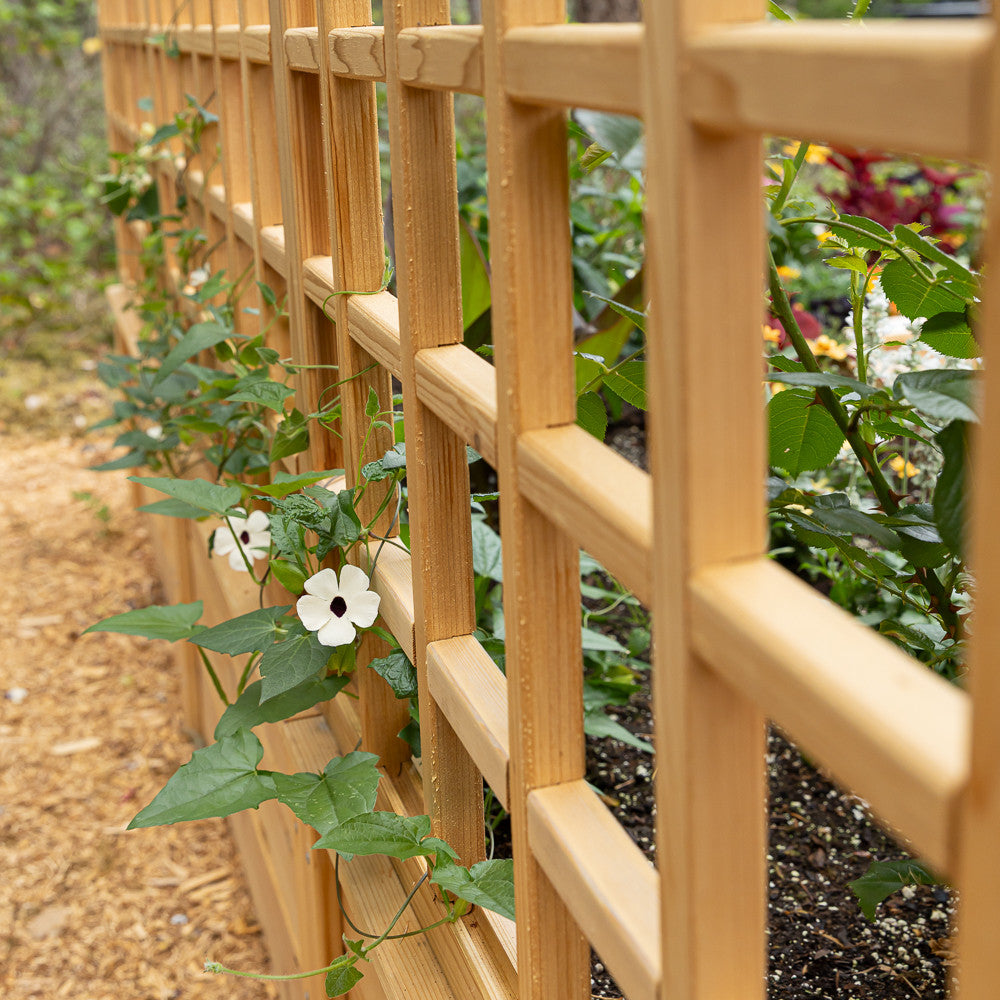 Natural Cedar 9' U-Shaped Raised Bed with Trellis