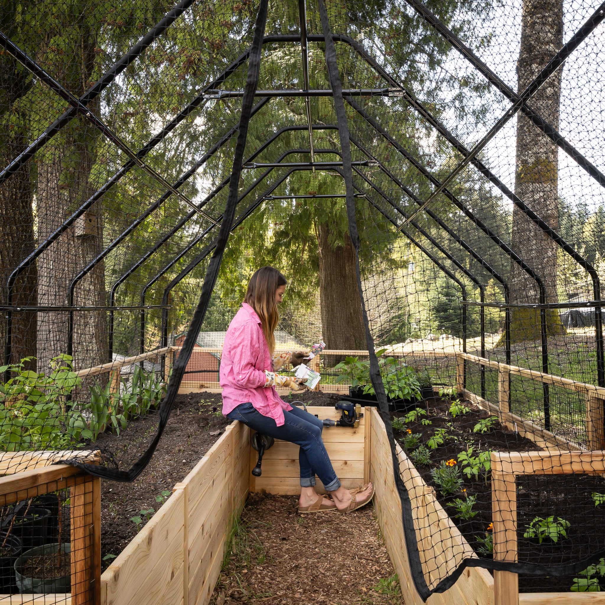 Cedar Complete Raised Garden Bed Kit with Bird Netting Cover 8' x 12'
