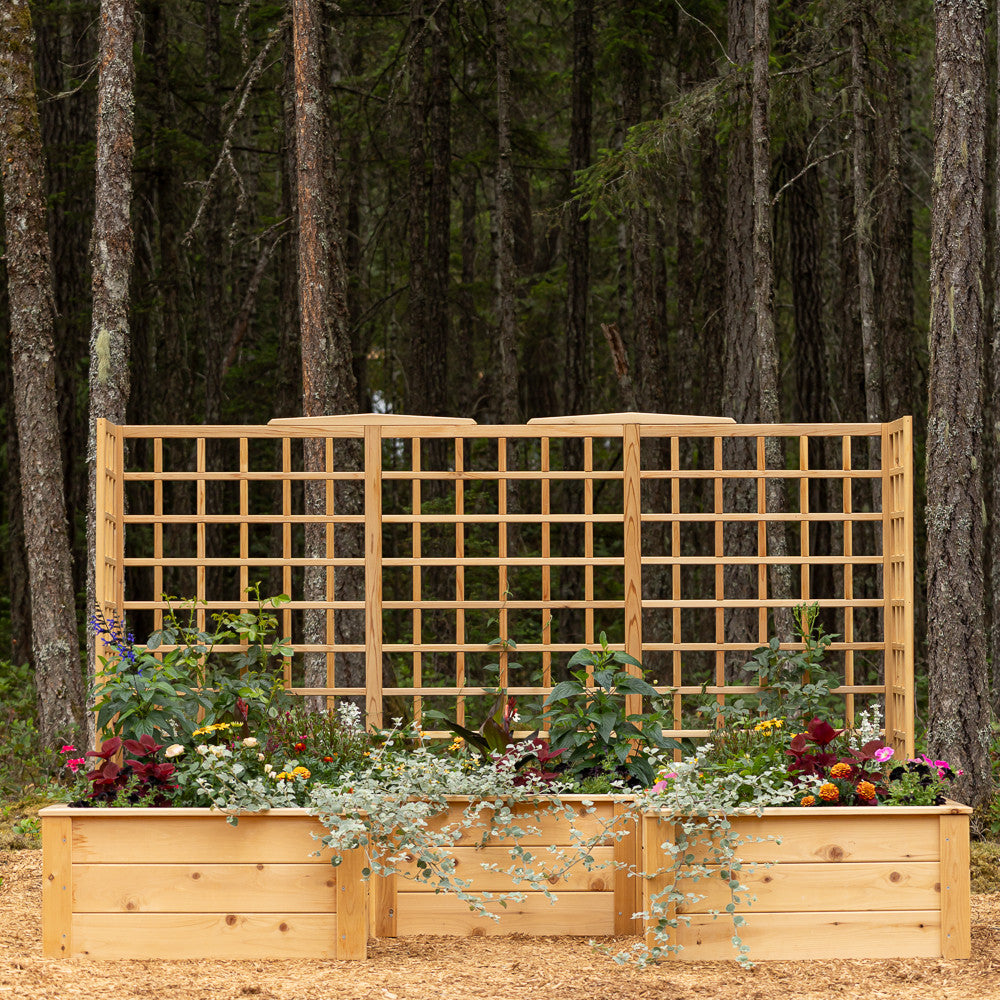 Natural Cedar 9' U-Shaped Raised Bed with Trellis