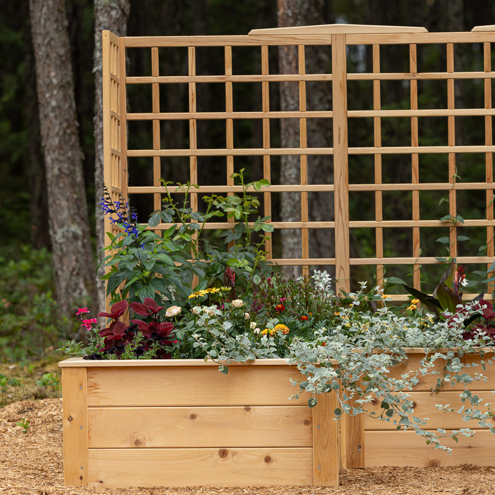 Natural Cedar 7.5' U-Shaped Raised Bed with Trellis