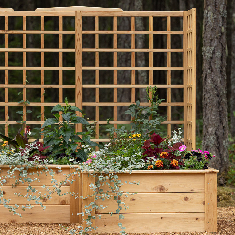 Natural Cedar 9' U-Shaped Raised Bed with Trellis