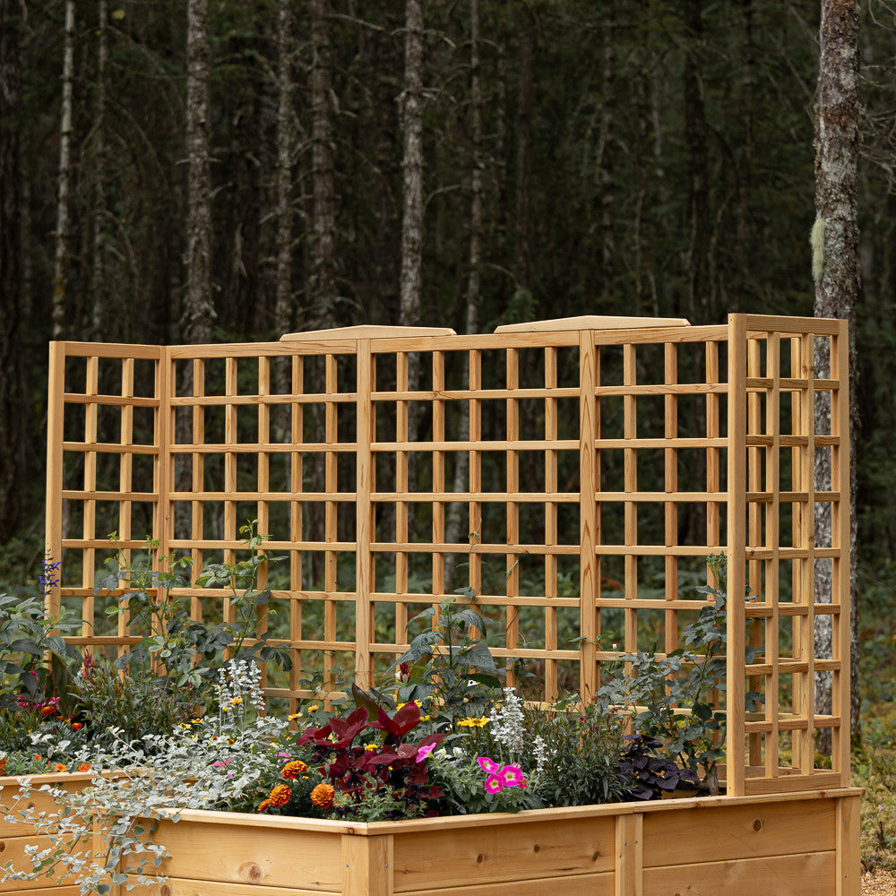 Natural Cedar 9' U-Shaped Raised Bed with Trellis