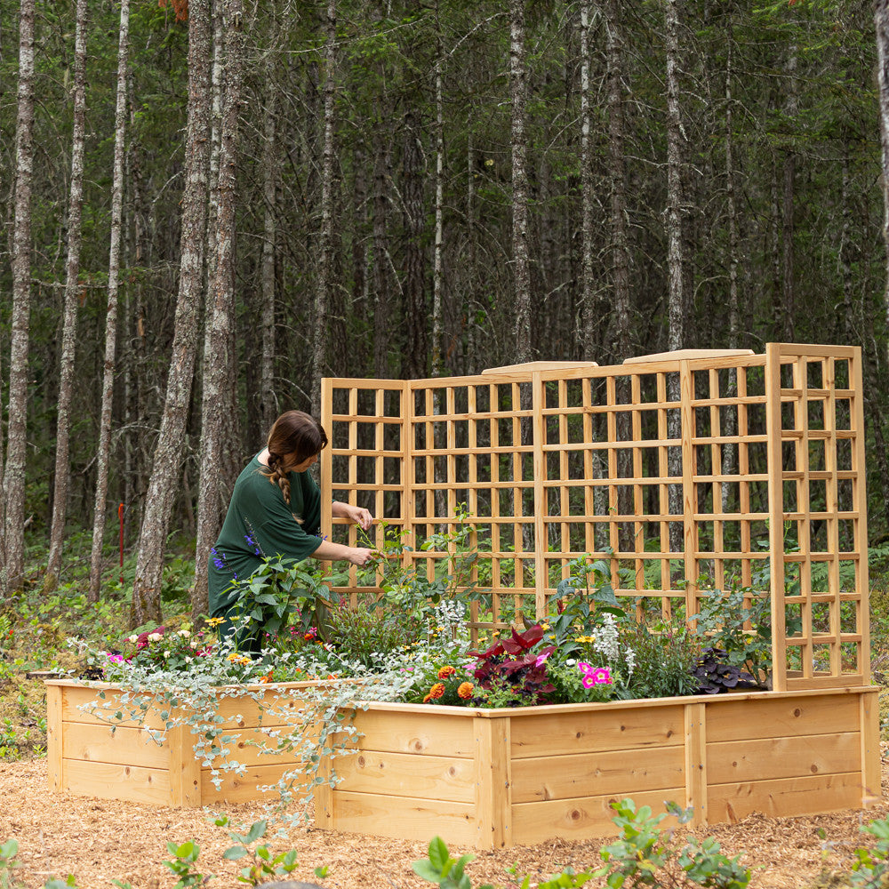 Natural Cedar 9' U-Shaped Raised Bed with Trellis