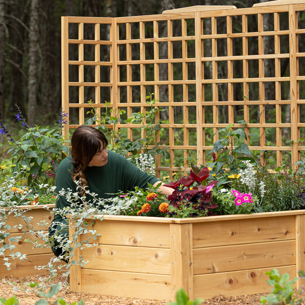 Natural Cedar 12' U-Shaped Raised Beds with Trellis