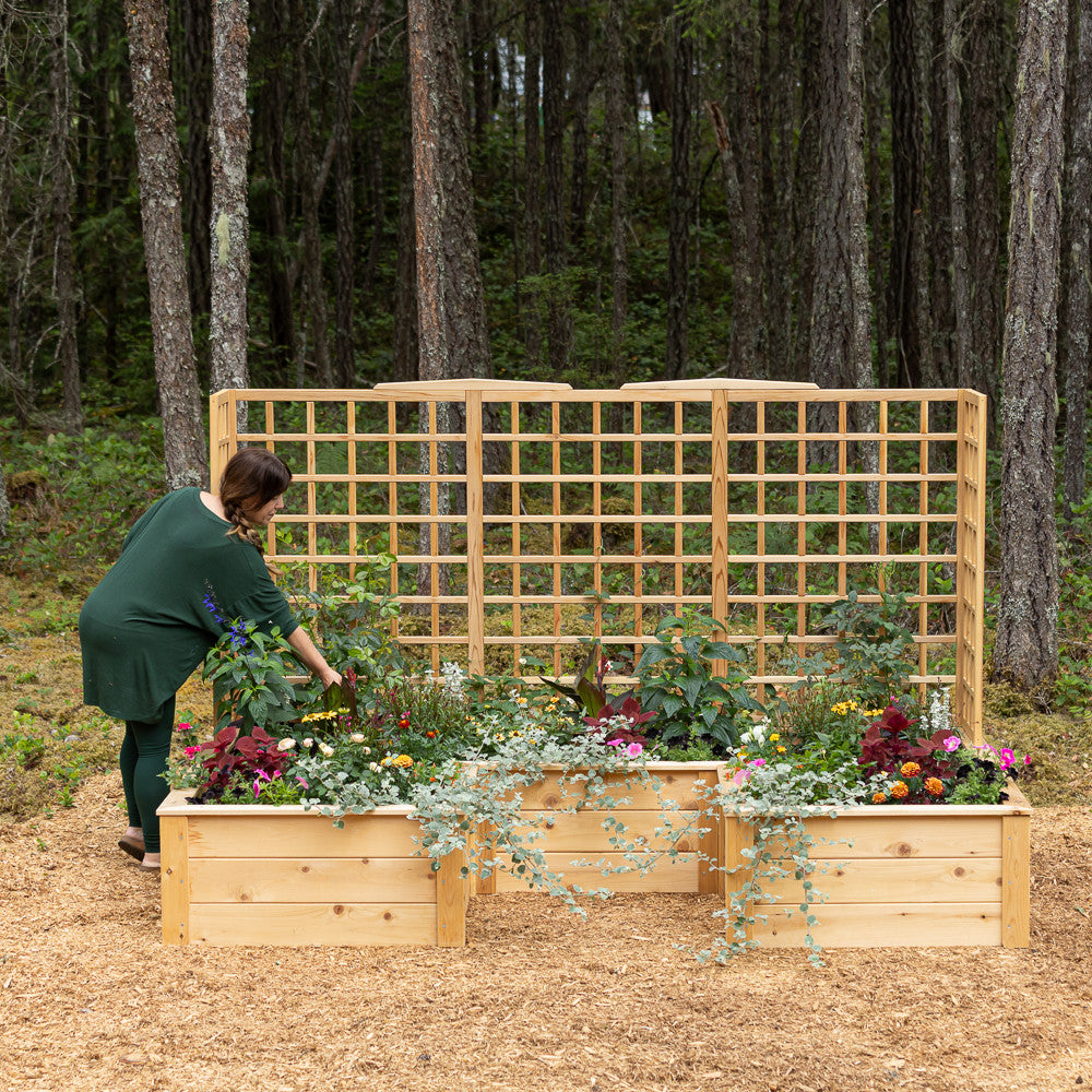 Natural Cedar 9' U-Shaped Raised Bed with Trellis