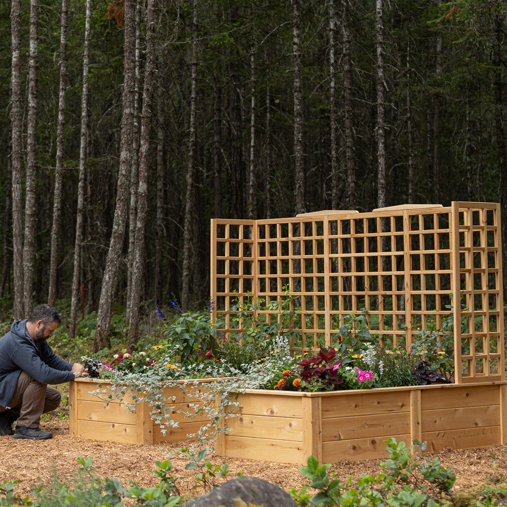 Natural Cedar 9' U-Shaped Raised Bed with Trellis