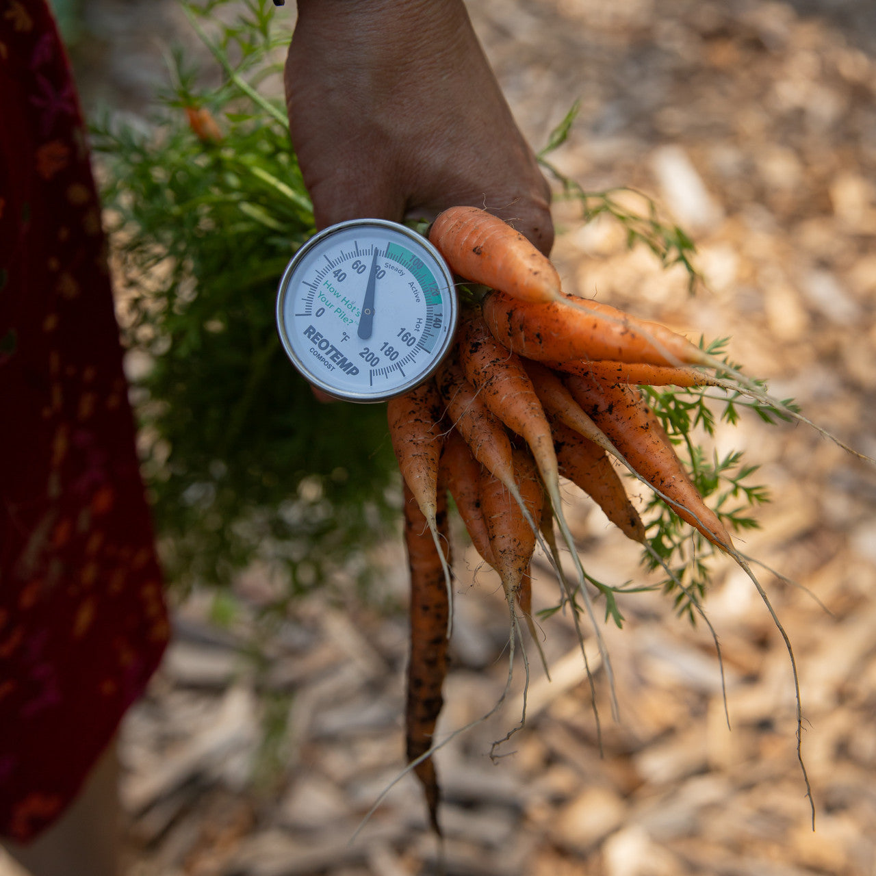 Compost Thermometer 20" Stem