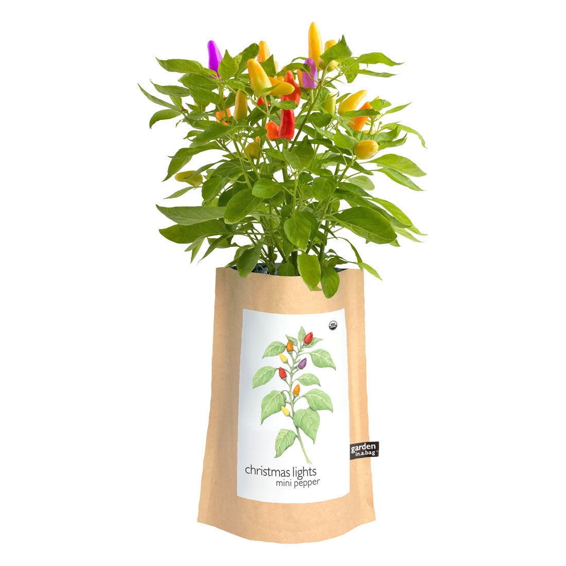 can you use christmas lights to grow plants Christmas Lights Pepper Garden-in-a-bag
