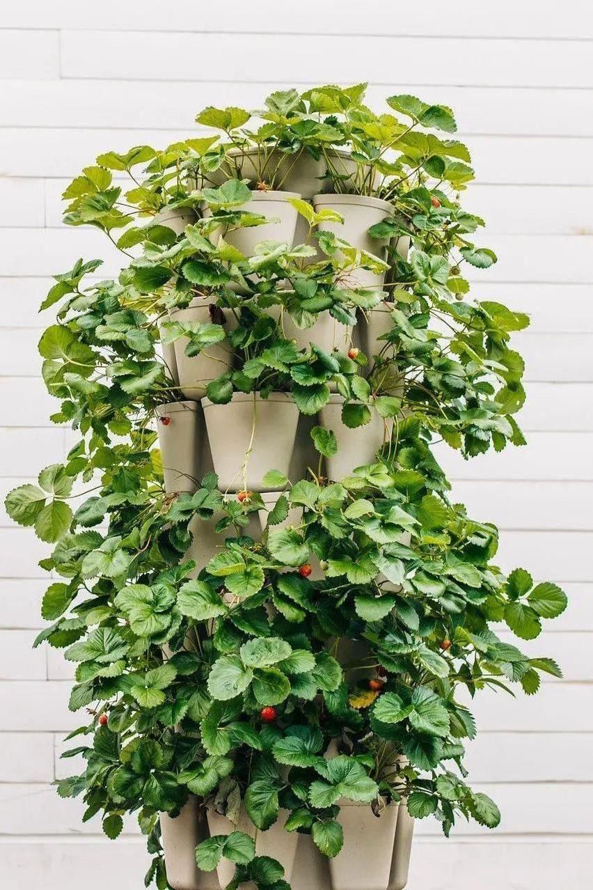 7 Tier GreenStalk Vertical Planter - Original Sage Green - Basic Texture