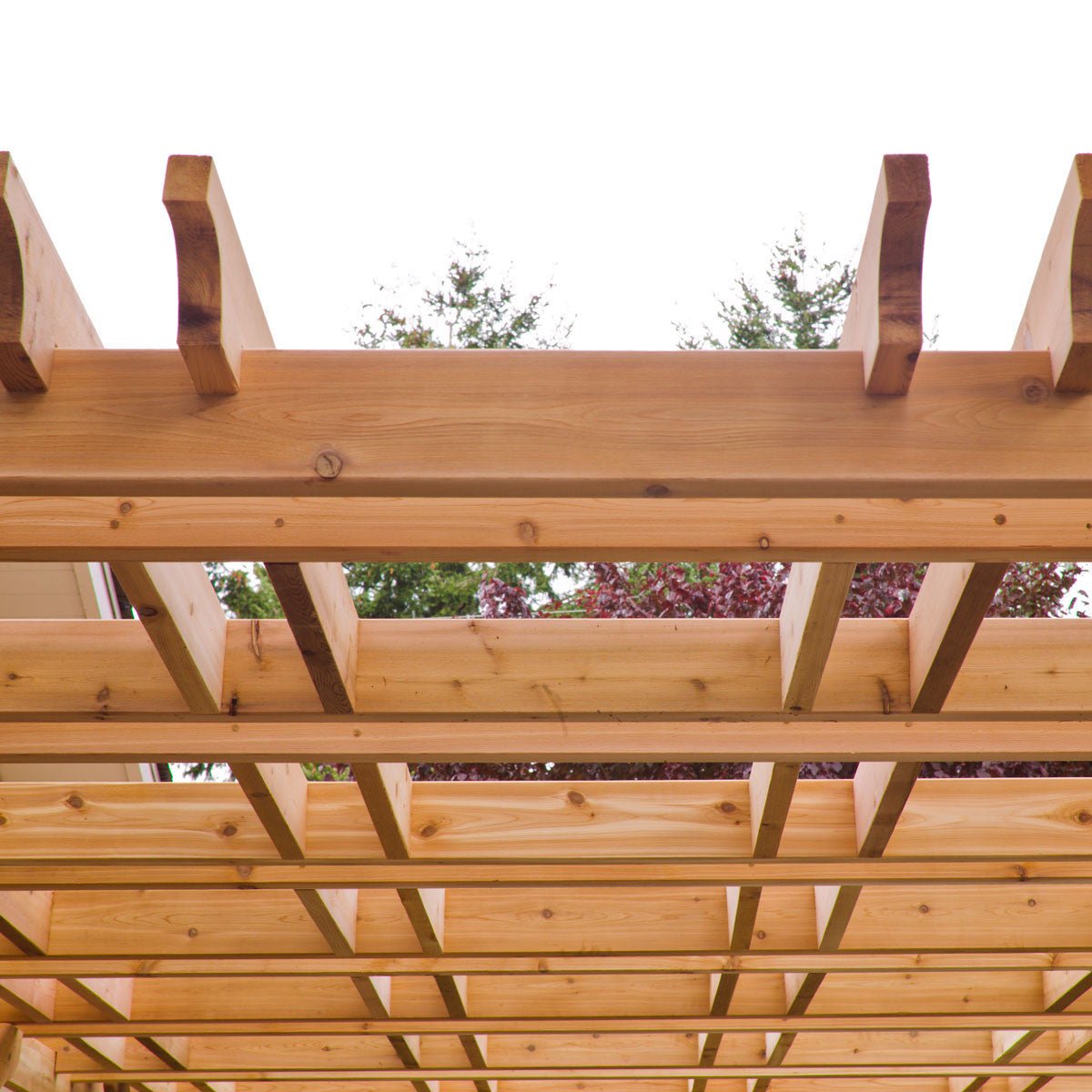 8' x 10' Premium Cedar Pergola Kit