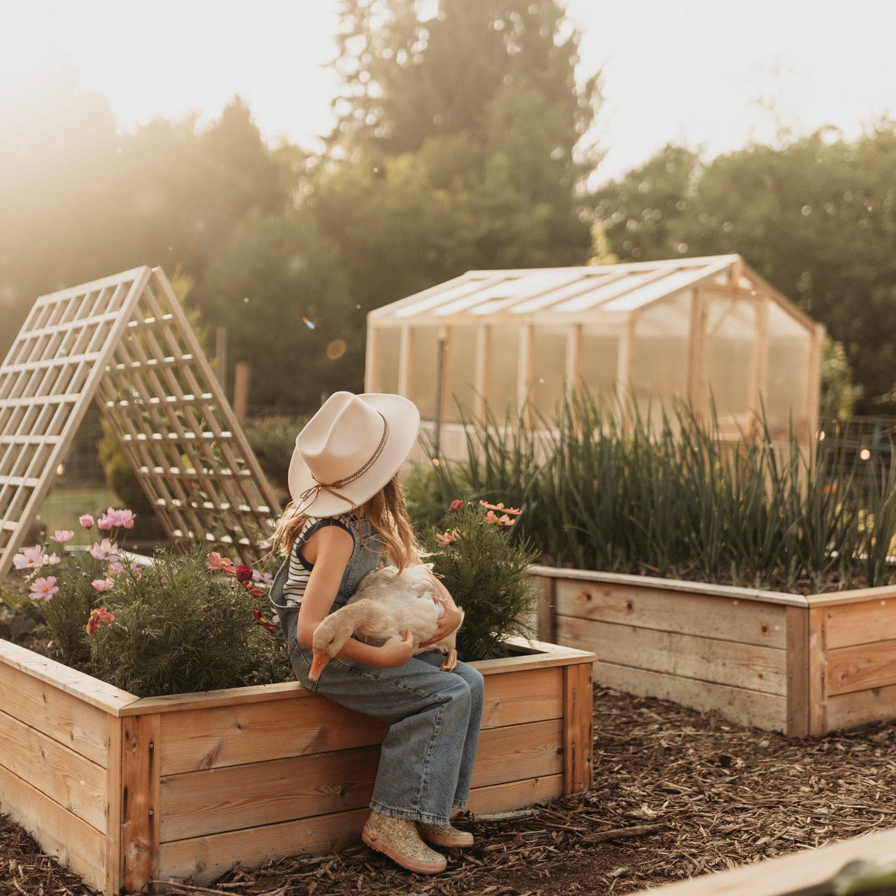8' x 12' Cedar Greenhouse
