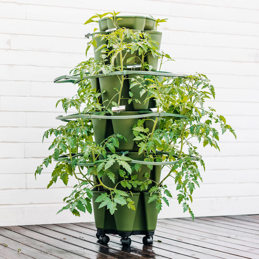 Plant Supports for GreenStalk Vertical Planter