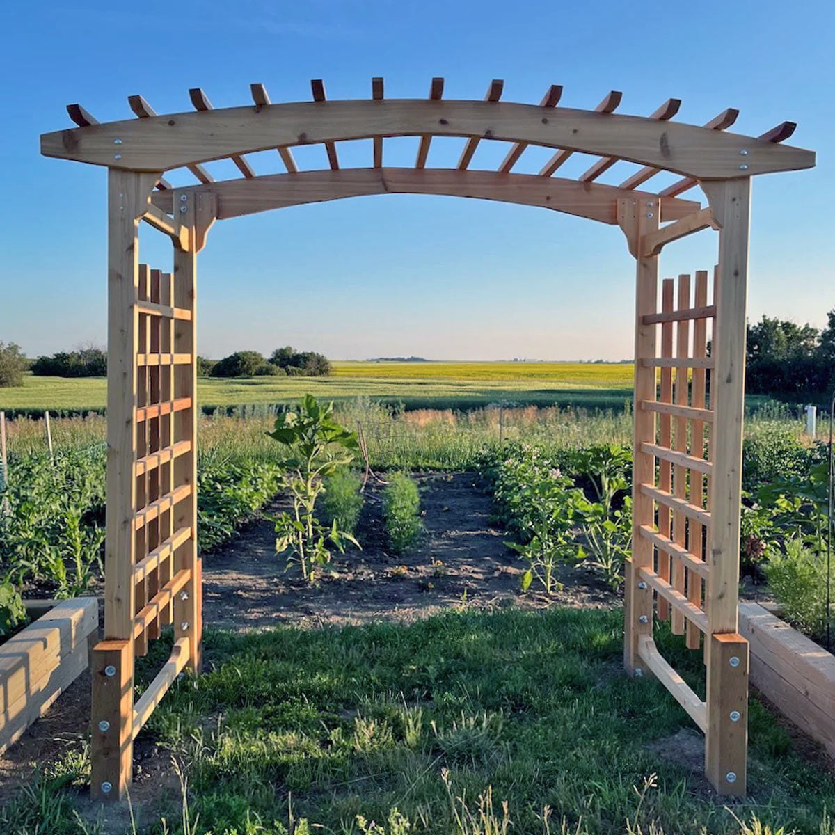 wooden garden trellis for sale BELLA+CANVAS Long Body Urban Tee
