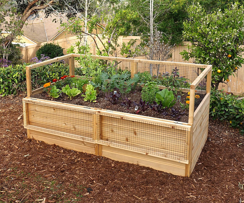 3' x 6' Raised Garden Bed With Hinged Fencing