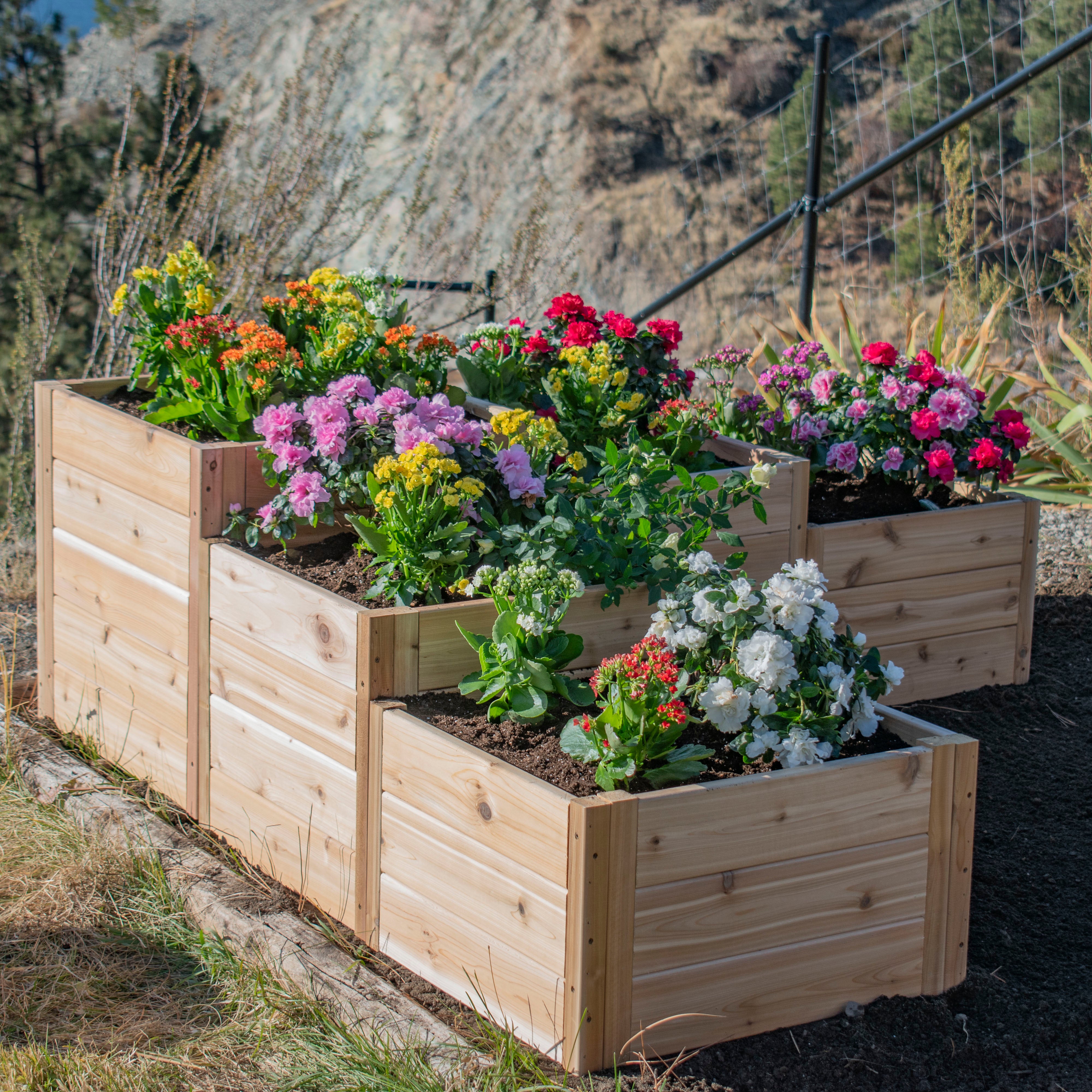 L-Shaped Tiered Cedar Garden Bed 5.5' x 2'