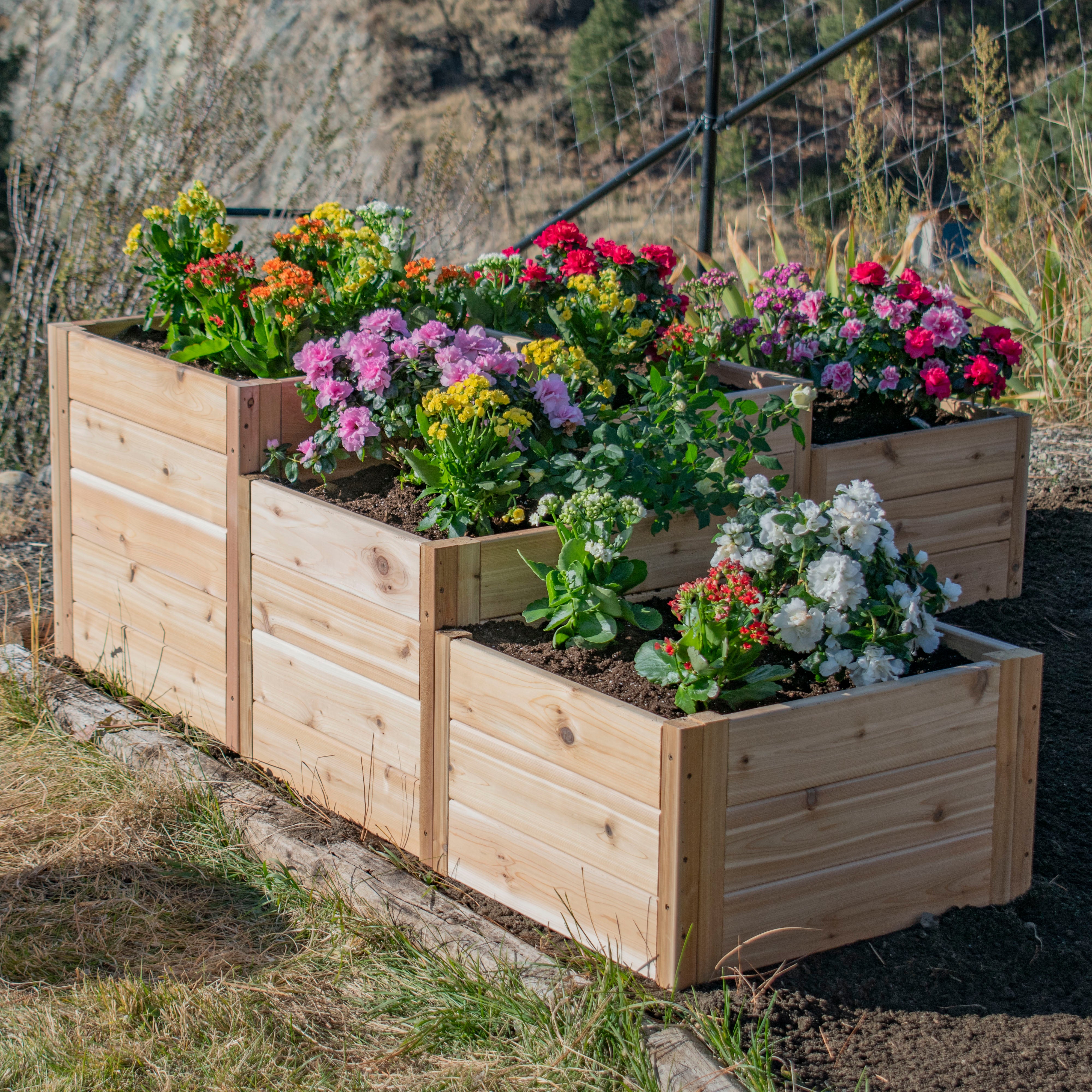 L-Shaped Tiered Cedar Garden Bed 5.5' x 2'
