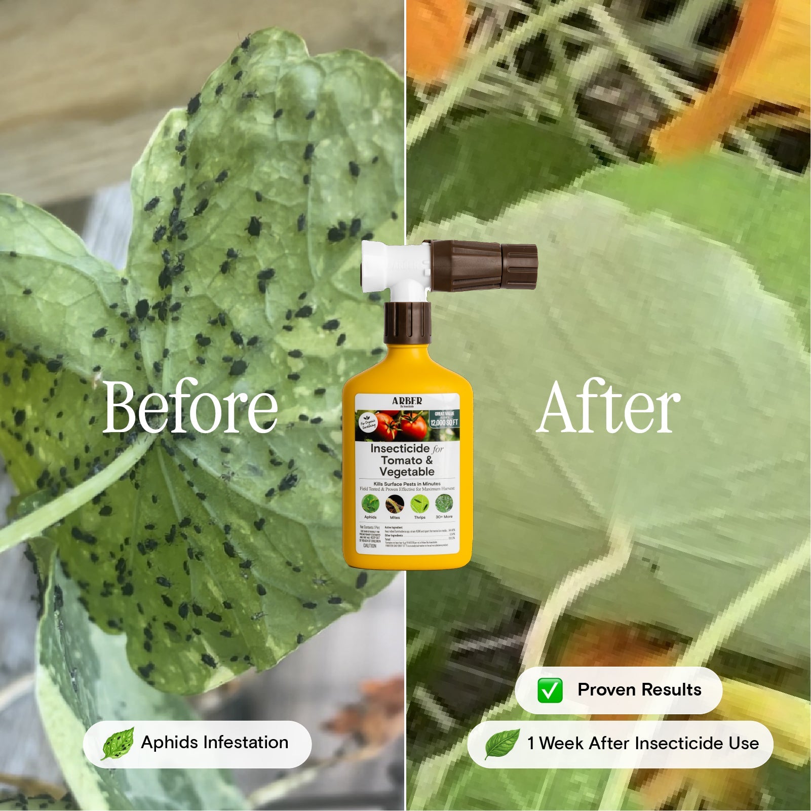 best organic insect killer for vegetable garden Organic Insecticide for Tomato & Vegetable