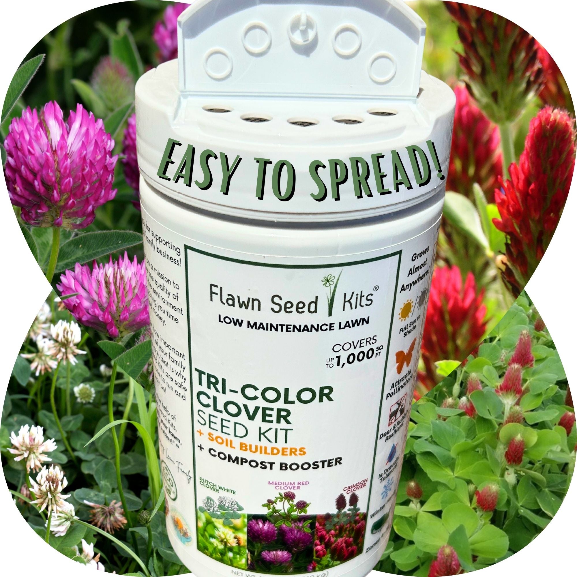 Tri-Color Flowering Clover Seed Kit