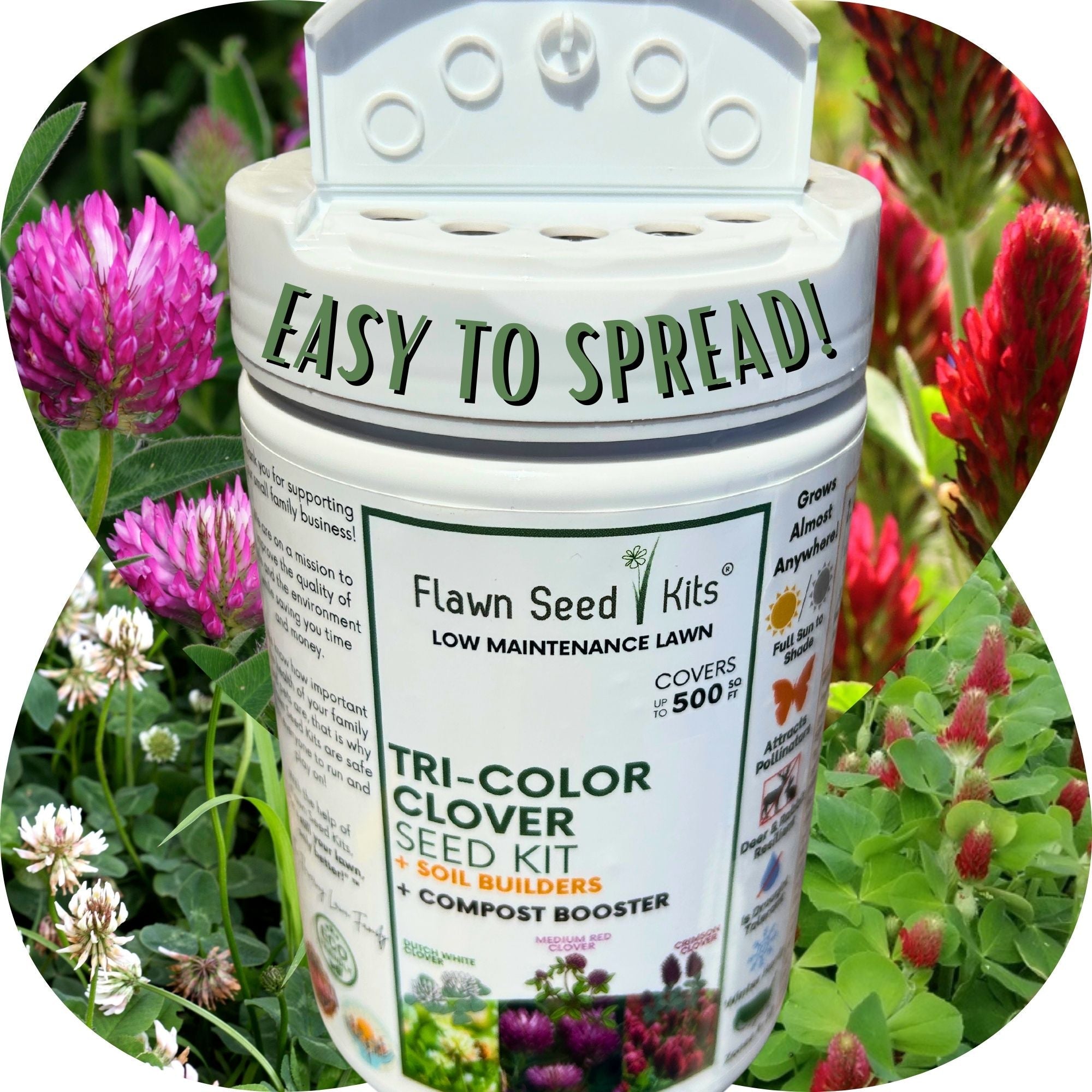Tri-Color Flowering Clover Seed Kit