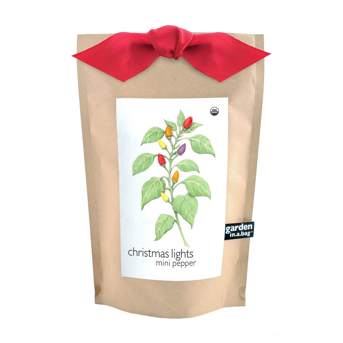 Christmas Lights Pepper Garden-in-a-bag