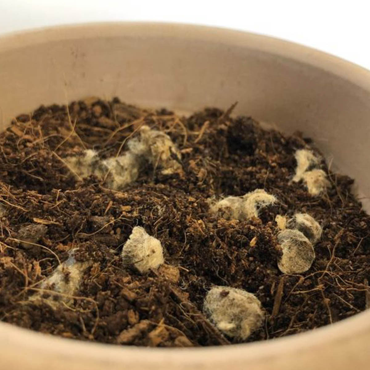 Organic Wool Potting Pellets Slow Release Fertilizer 9-0-2 - 8 oz