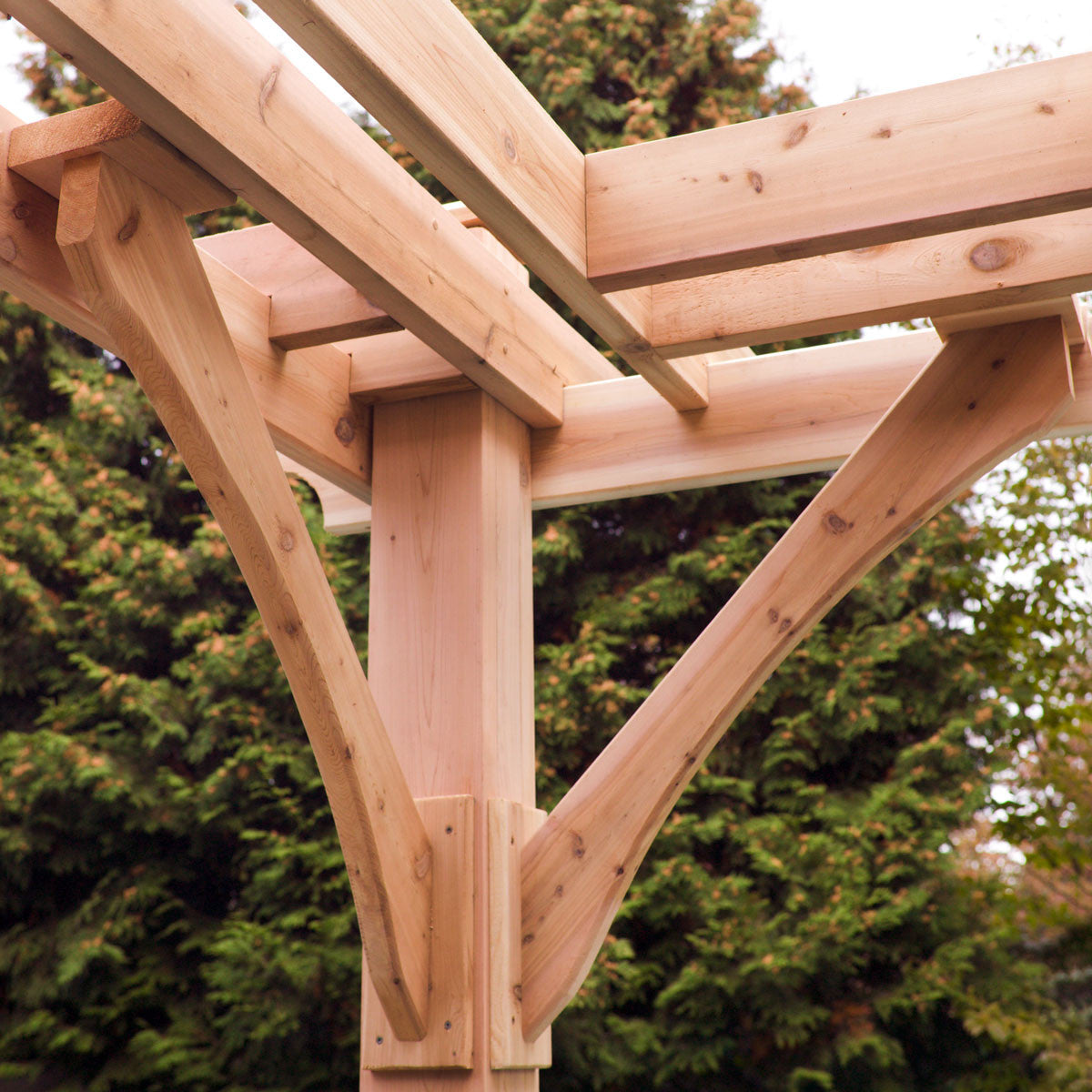 8' x 10' Premium Cedar Pergola Kit