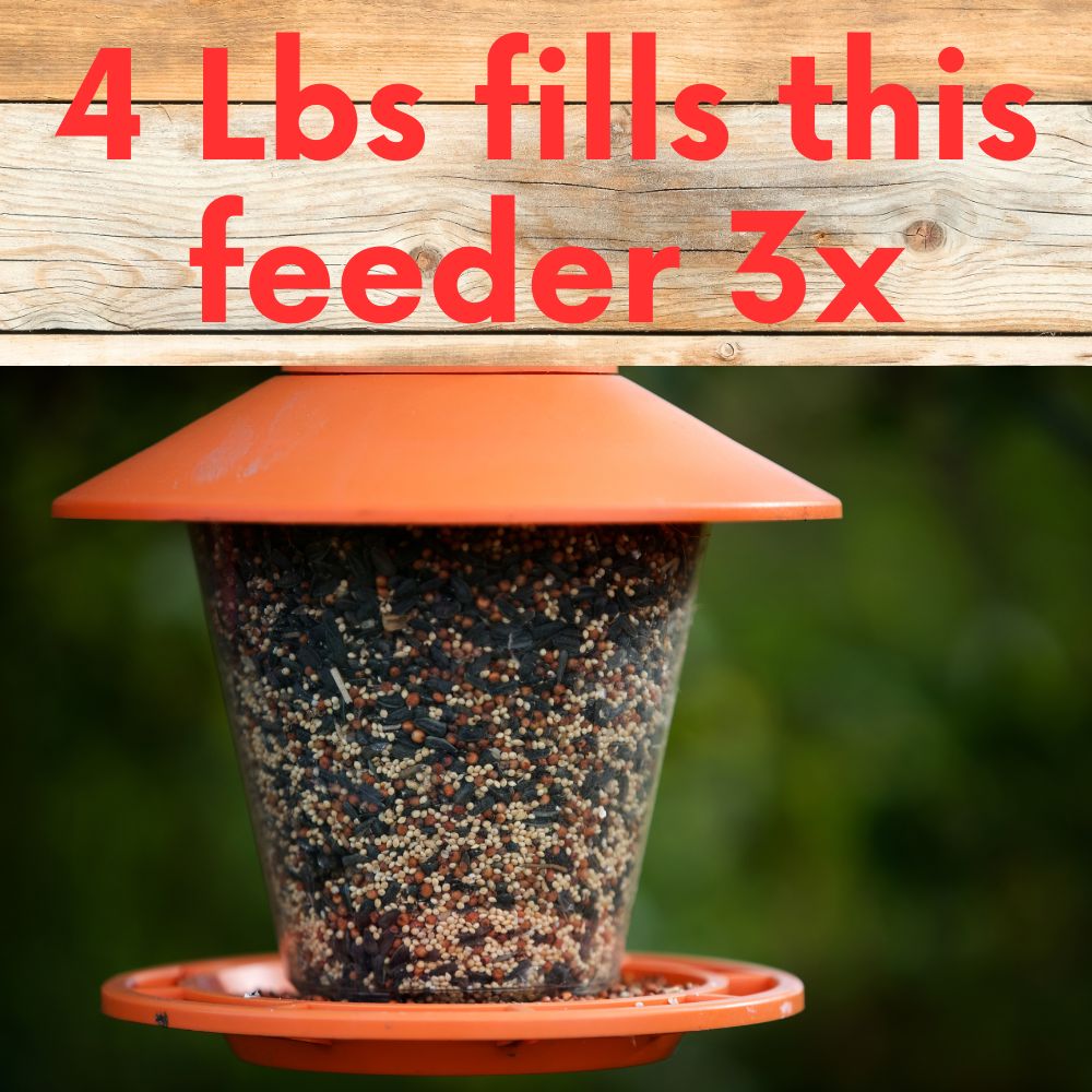 Premium Wild Bird Seed - Cardinal & Finch Feast Mix