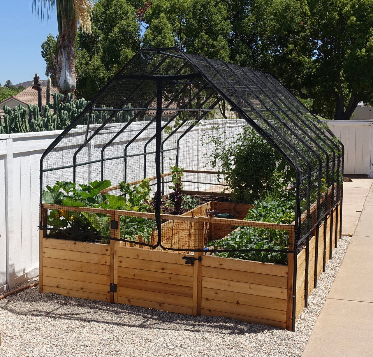 Cedar Complete Raised Garden Bed Kit with Bird Netting Cover 8' x 8'