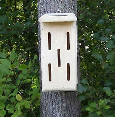 Wooden Butterfly House