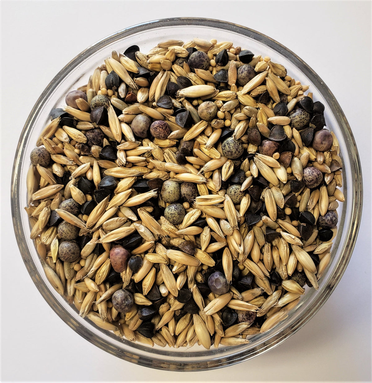 Elite Garden Cover Crop Seed Mix