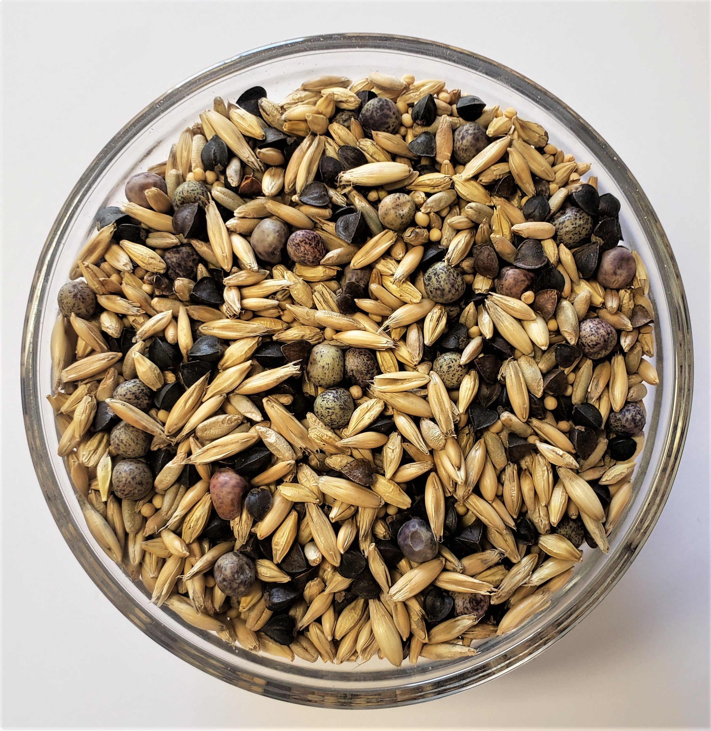 Elite Garden Cover Crop Seed Mix