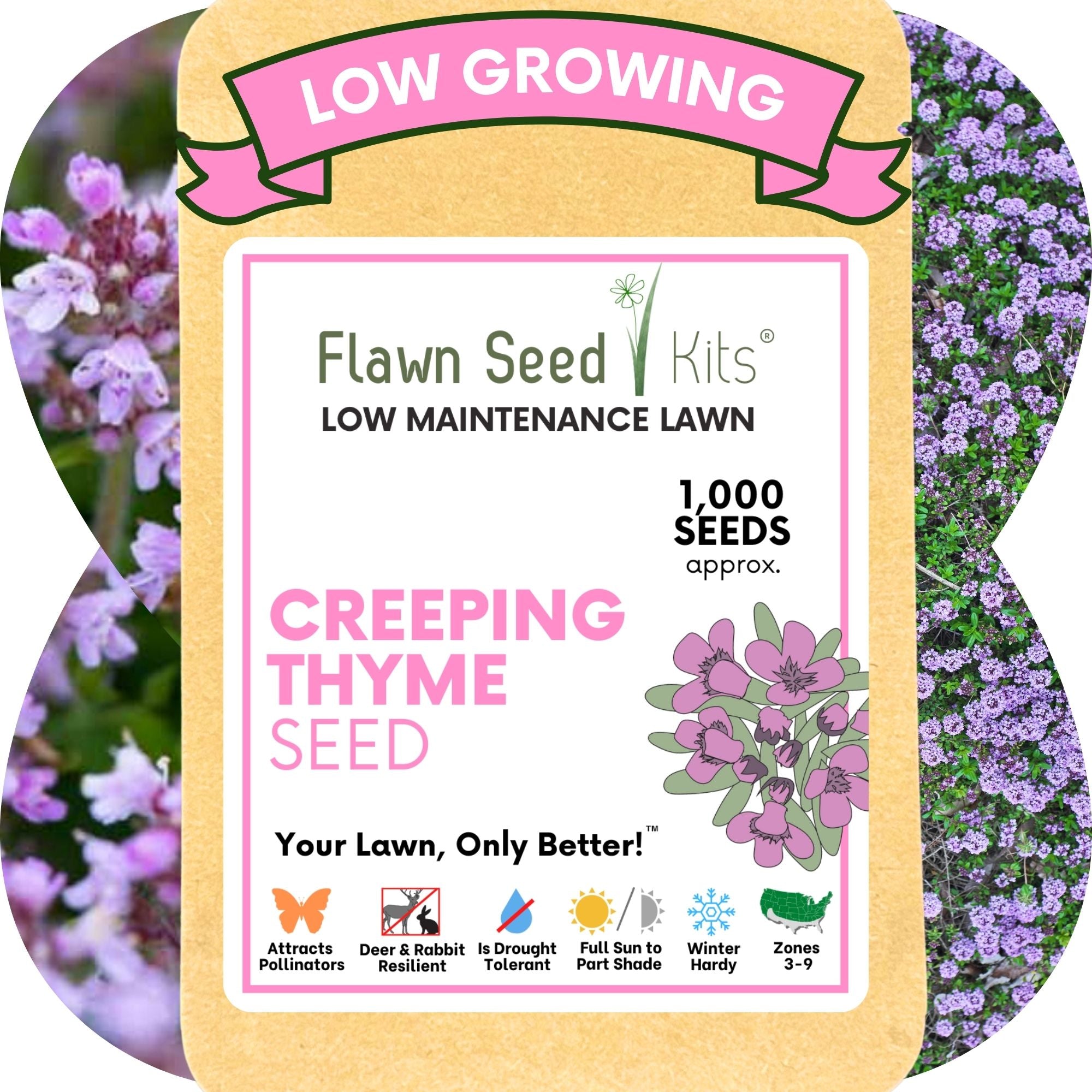 Creeping Thyme Flowering Lawn & Groundcover - Seed Pouch