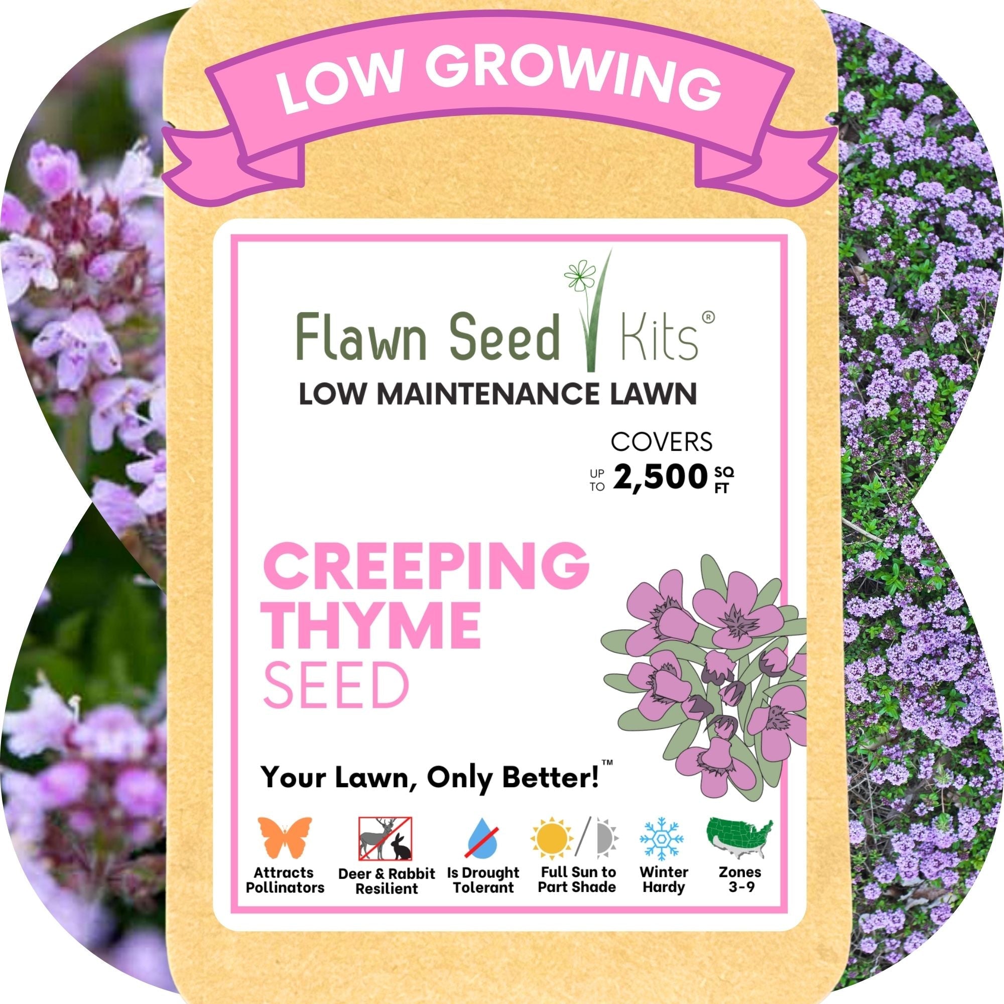Creeping Thyme Flowering Lawn & Groundcover - Seed Pouch