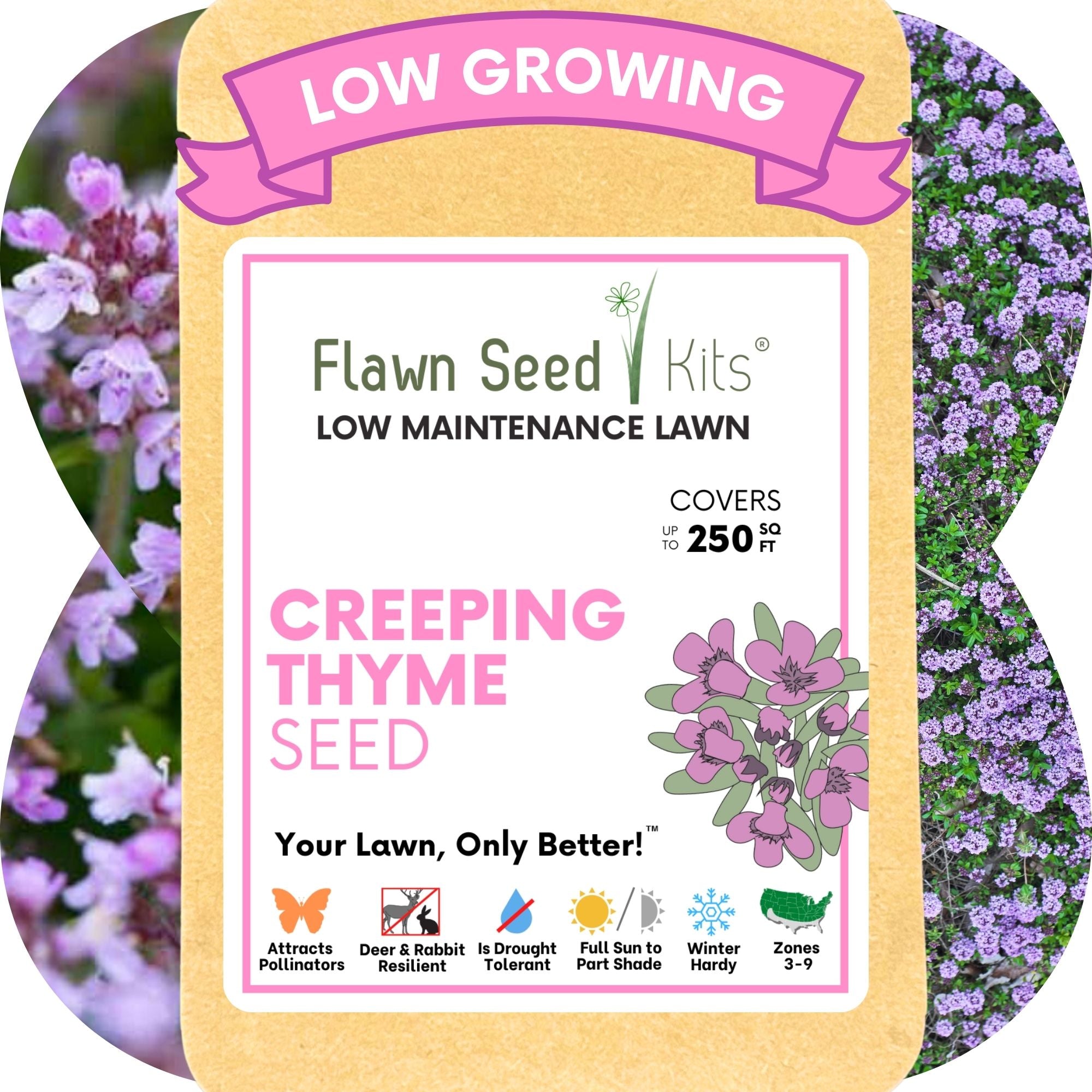 Creeping Thyme Flowering Lawn & Groundcover - Seed Pouch
