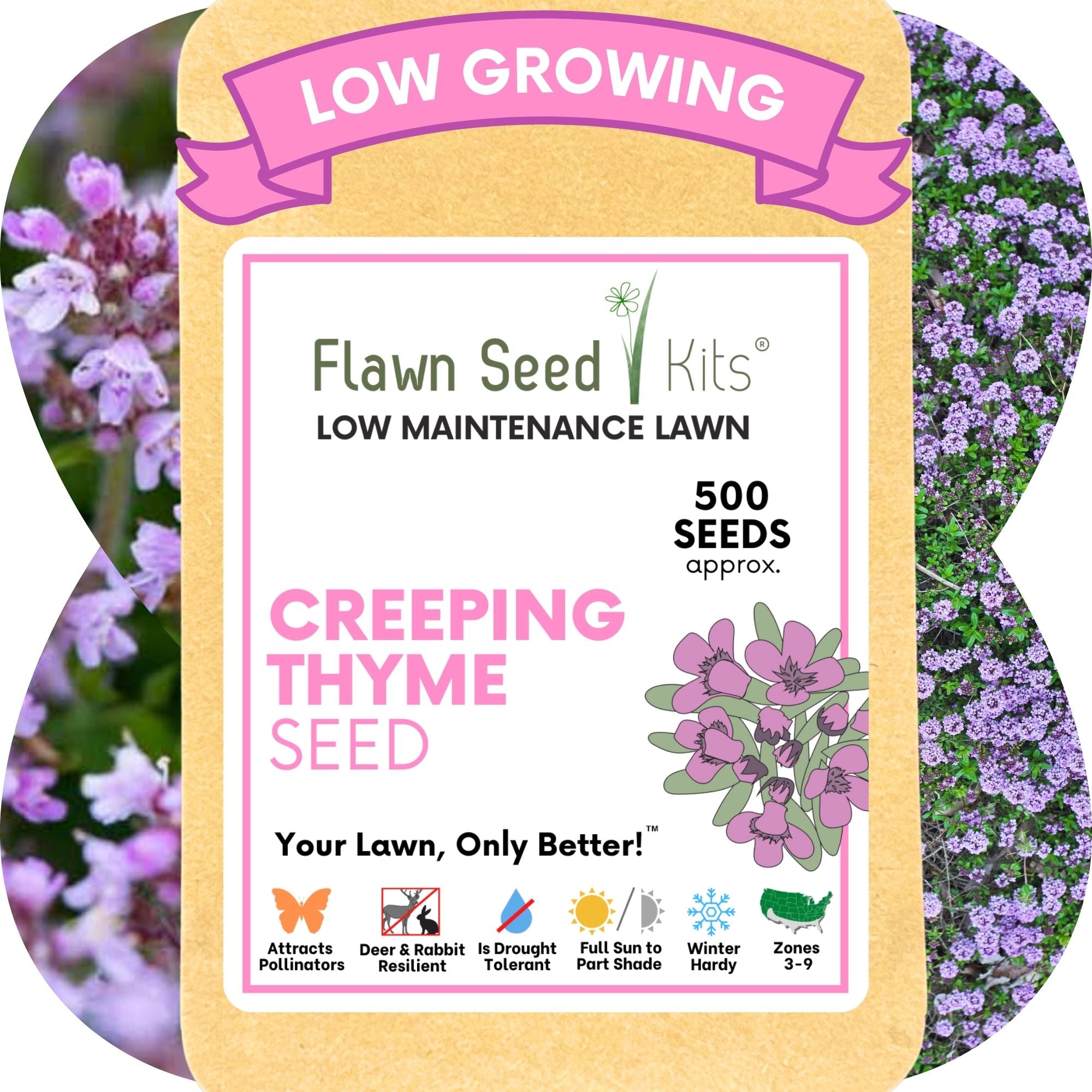Creeping Thyme Flowering Lawn & Groundcover - Seed Pouch