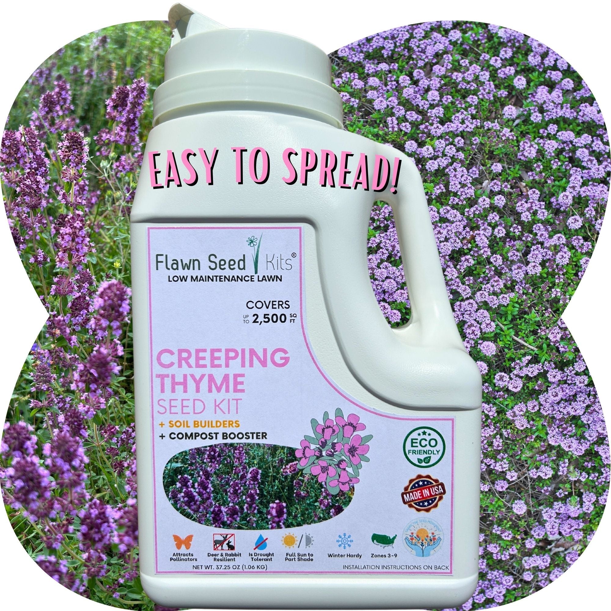 Creeping Thyme Flowering Lawn & Groundcover - Seed Kit