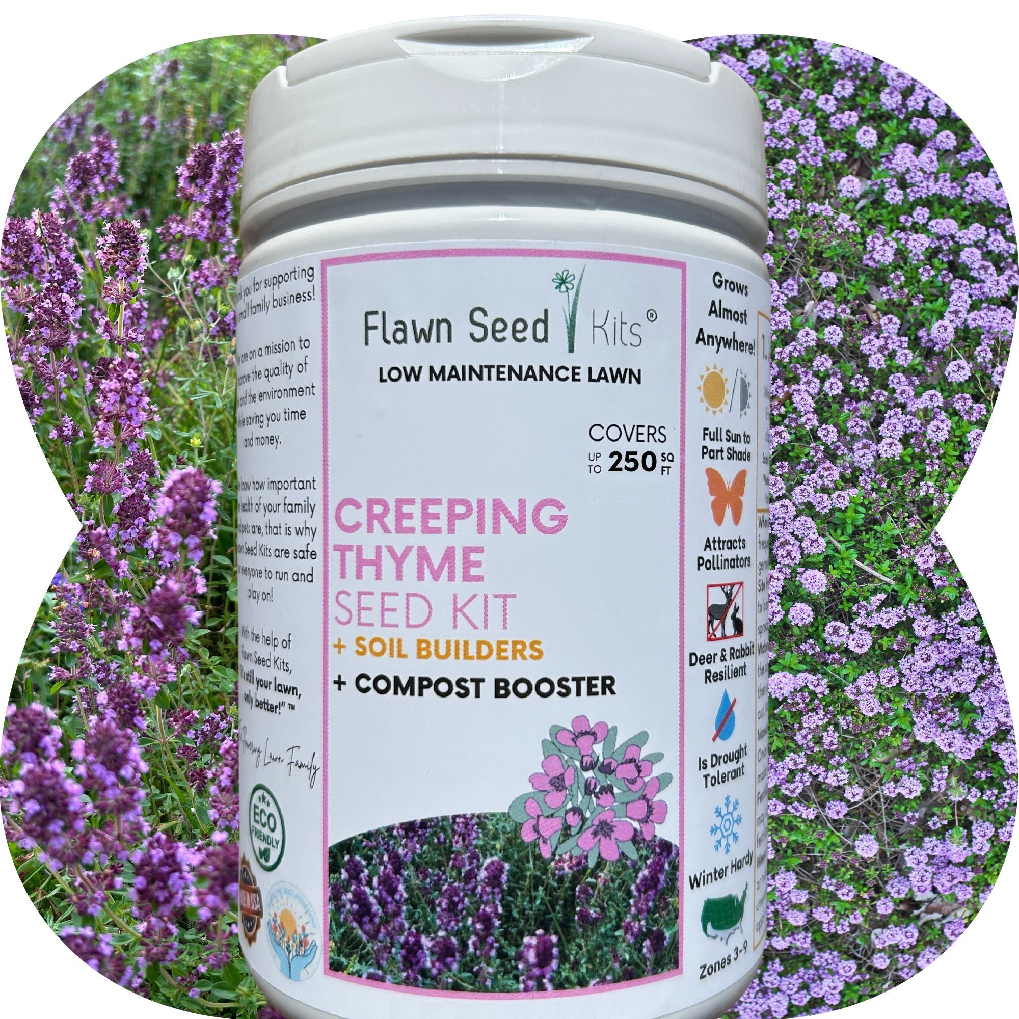 Creeping Thyme Flowering Lawn & Groundcover - Seed Kit