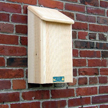 Wooden Bat Condominium