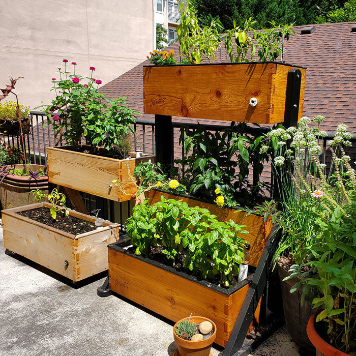 chef'n self watering planter Canopy Self-Watering Vertical Cedar Planter