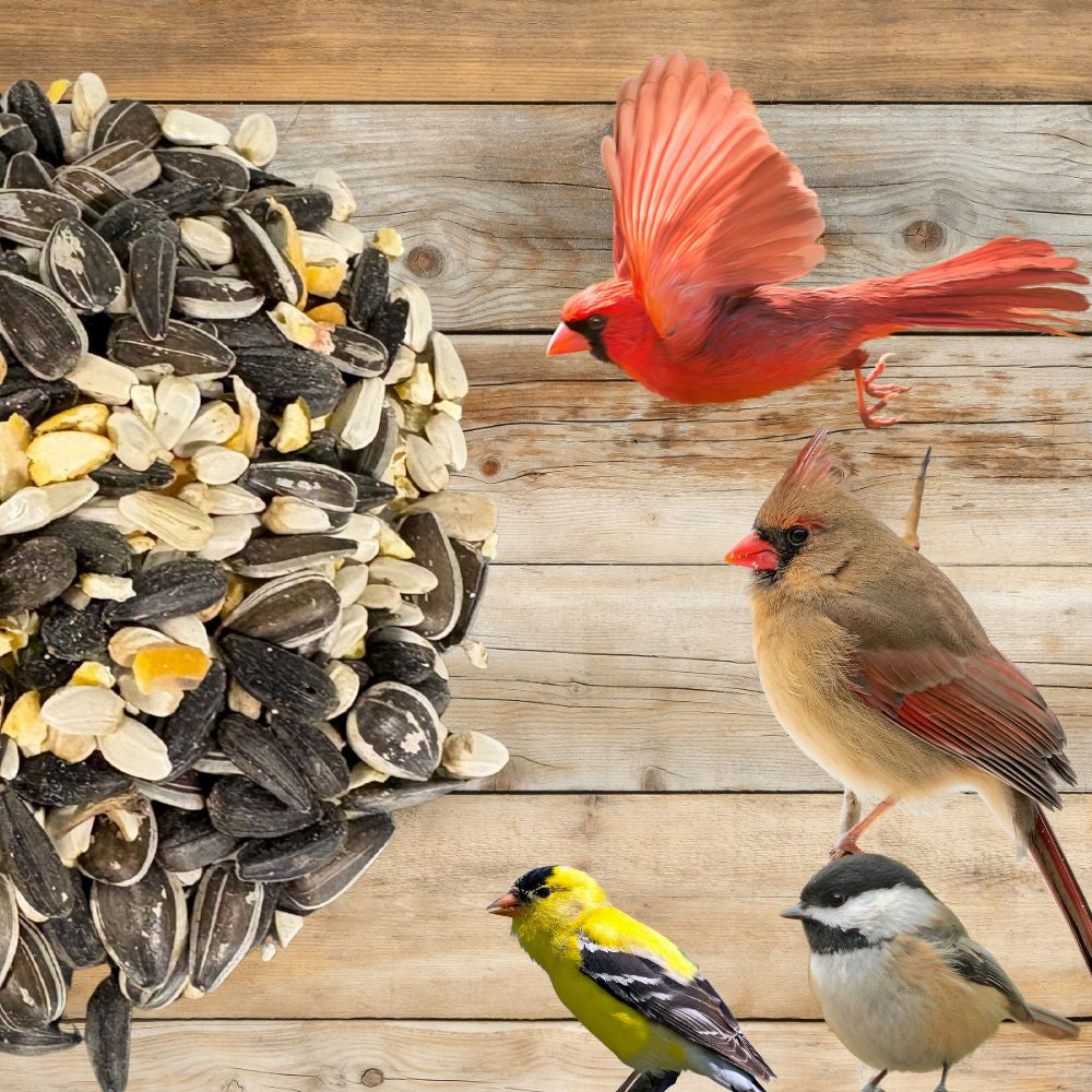 Premium Wild Bird Seed - Cardinal & Finch Feast Mix