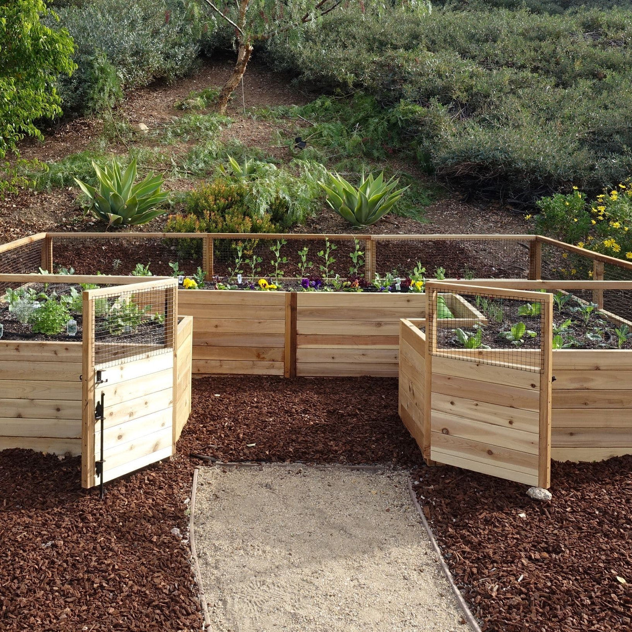 Cedar Complete Raised Garden Bed Kit - 12' x 8'