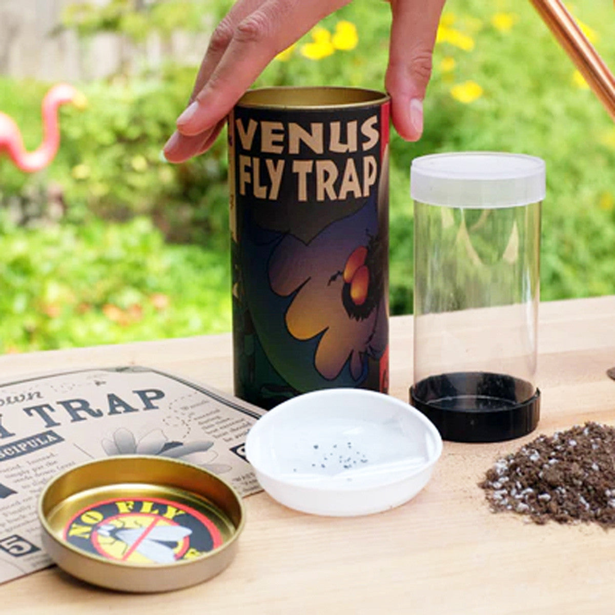 Carnivorous Venus Flytrap Grow Kit