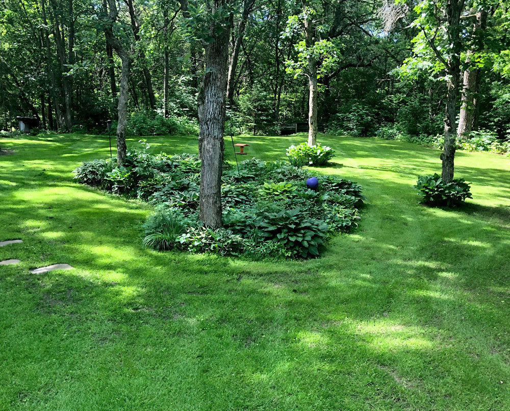 MicroLawn Grass Seed & Microclover Blend - 5 lbs